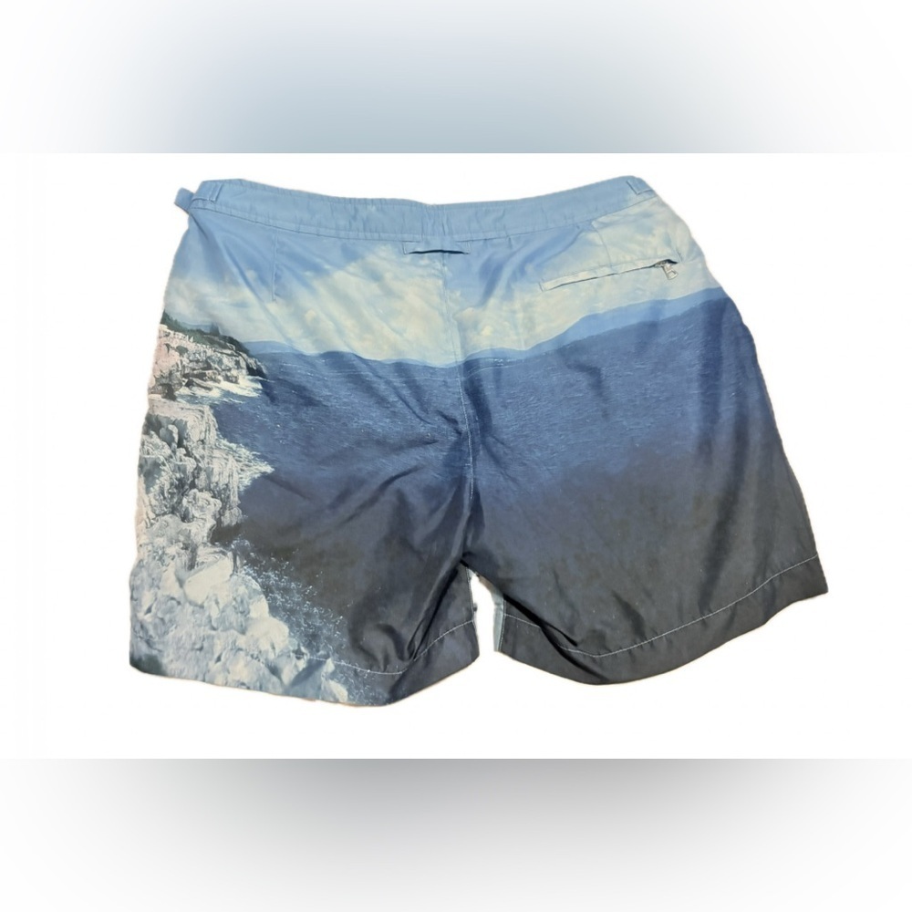 ORLEBAR BROWN Hulton Geddy Roc Pool 2 Print Bulldog Swim Shorts Size 32 Msrp$395 - Picture 3 of 6